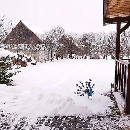 Casa De Vacanta Ayan Dom wakacyjny Hărman